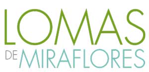 footer-logo